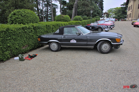 3954