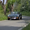 4018 (4362 Besuche) 4018