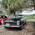 IMG-20220530-WA0013