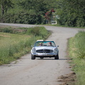 IMG 0013