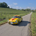 IMG 0017