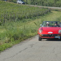 IMG 0019