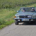 IMG 0029