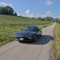 IMG 0041
