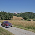 IMG 0205