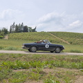 IMG 0314