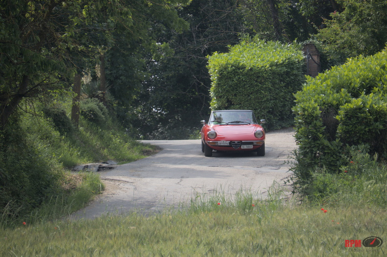IMG 0315
