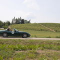 IMG 0321