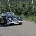EXP IMG 0022